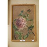 EARLY 20TH CENTURY BRITISH SCHOOL - CHRYSANTHEMUM - OIL ON CANVAS BOARD