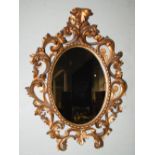 A late 19th/early 20th century Florentine gilt wood Rococo style wall mirror, the pierced carved