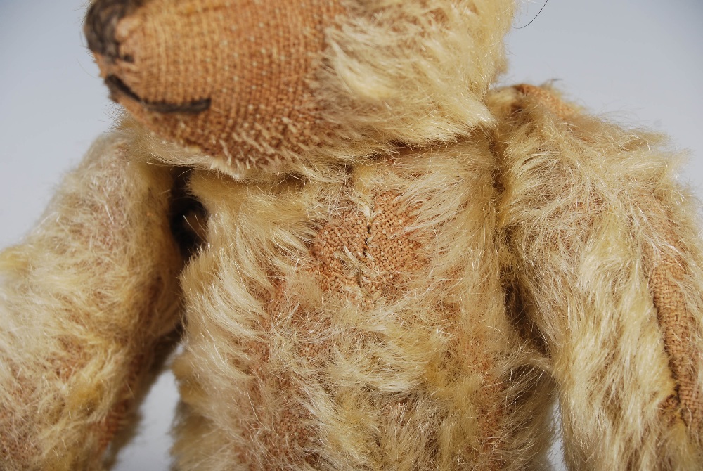 An early 20th century teddy bear, possibly Steiff, with golden mohair and brown/ black button boot - Image 9 of 10
