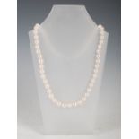 A cultured pearl necklace, with fifty seven round pearls of light cream colour with a rose overtone,