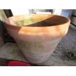 Very large terracotta plant pot