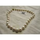 Gold clasped pearl necklace