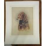 Watercolour of Golden Retriever signed Frank R Bassett (Image size 25cm x 33cm)