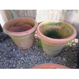 Pair of terracotta planters