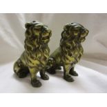 Pair of brass lion money boxes - H: 13cm