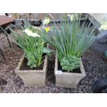 Pair of stone planter troughs with contents