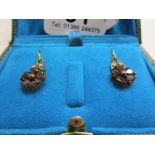 Pair of garnet & diamond earrings