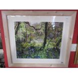 L/E signed print - Bluebells in Valency Wood
