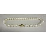 Gold clasped pearl necklace