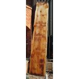 Very large plank of California Redwood / Wellingtonian wood - L: 375cm, Approx W: 75cm, Approx D: