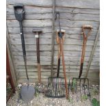 Collection of vintage garden tools