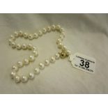 Gold clasped pearl necklace