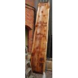 Large plank of California redwood / Wellingtonian wood