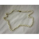Gold clasped lotus pearl necklace
