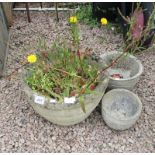 3 graduated stone planters