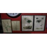 4 pictures - 2 botanical watercolours & 2 botanical prints