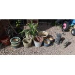 Collection of planters & garden ornaments