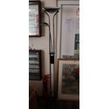 Contemporary standard lamp with reading light