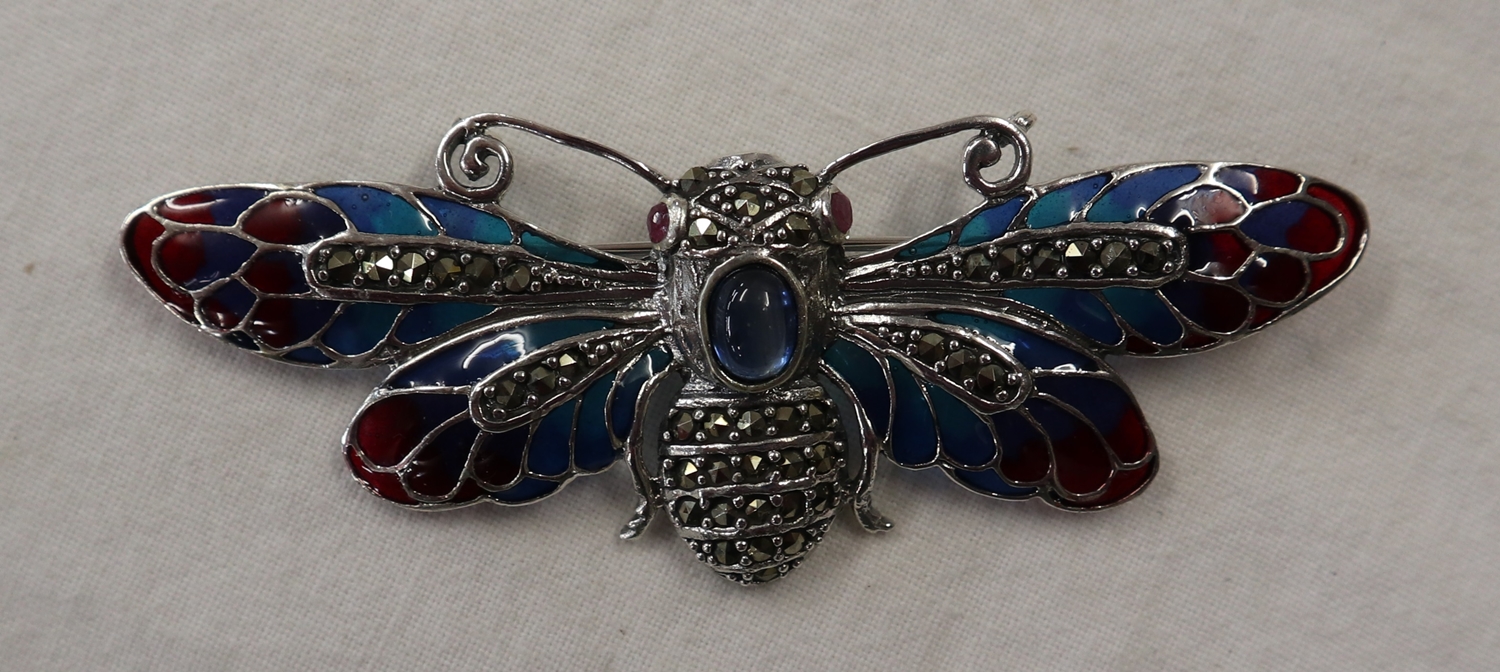 Silver champlevé enamel ruby eyed bug brooch