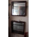 Pair of collectors display cabinets