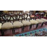 Set of 6 early Victorian balloon-back chairs