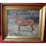 Margaret Wynn - Oil on canvas, Chestnut Hunter 1915 - Canvas size 59cm x 49cm