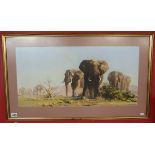 David Shephard Elephant print