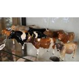 Collection of Beswick cows