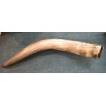 Large bovine horn with brass mounted lid - Approx 74cm tip to mouth