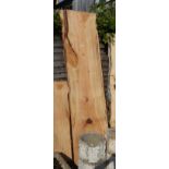 2 large pieces of Lebanese cedar wood - Approx H: 221cm