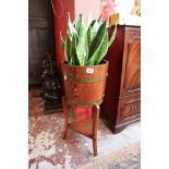 Oak coopered plant stand with succulent