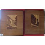 Marquetry picture - Approx overall size W: 35.5cm x H: 38.5cm