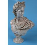 Bust of Apollo - Approx H: 54cm