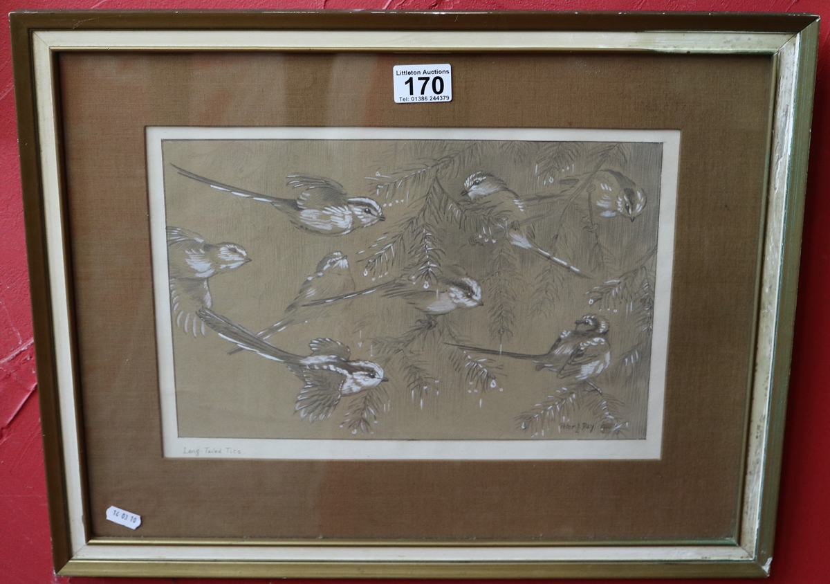 Chalk & line drawing - Longtailed tits - Approx image size W: 33.5cm x H: 22cm