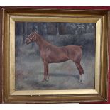 Oil on canvas - Horse by Margaret Wynn - Approx image size W: 59cm x H: 49cm