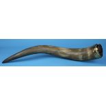 Large bovine horn with copper mount and inscription - Approx L: 75cm