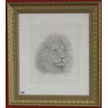 Sketch of lion by Steve Machin - Approx image size W: 36cm x H: 43.5cm