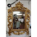 Rococo style gilt framed bevelled glass mirror - Approx overall W: 96cm x H: 142cm