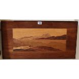 Marquetry picture - Approx overall size W: 74.5cm x H: 39cm