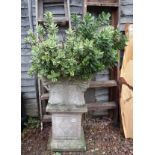 Large square stone planter on plinth with plants