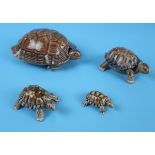 4 Wade tortoises