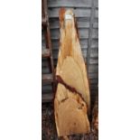 2 pieces of character wood - Oak