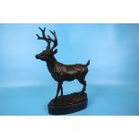 Bronze stag on marble base - Approx H: 31cm