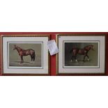 2 L/E signed prints - Northern Dancer & Son - Saddlers Wells by Susan Crawford with certificates