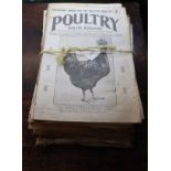 Magazines - Poultry & Poultry husbandry