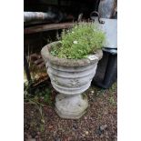 Stone planter on stand with plant