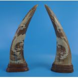 Pair of carved horns - Height approx 32cm