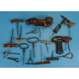 Collection of corkscrews