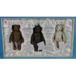 3 boxed teddies - Treasured Bears