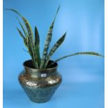 Brass plant pot with succulent